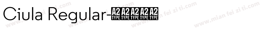 Ciula Regular字体转换